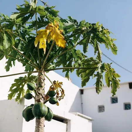 Eco Casa Alma,montana, Campo Y Playa Daire *