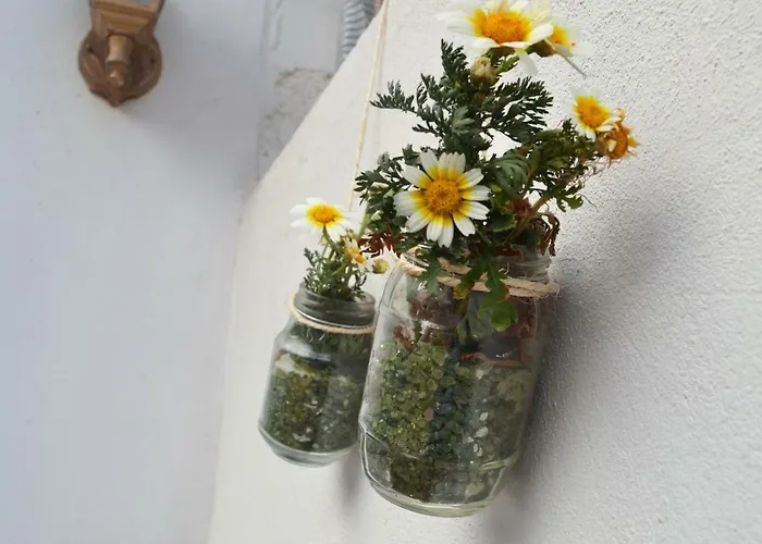 Eco Casa Alma,montana, Campo Y Playa