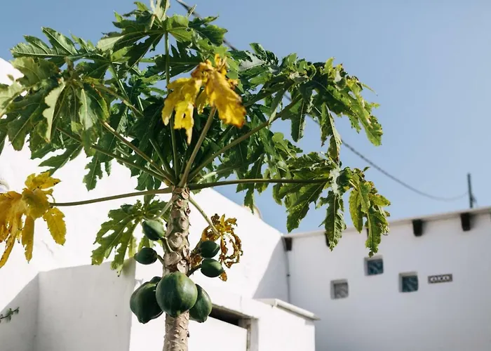Eco Casa Alma,montana, Campo Y Playa 아파트 *