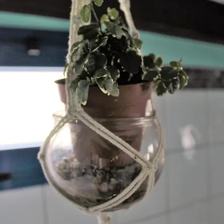 Eco Casa Alma,montana, Campo Y Playa 公寓