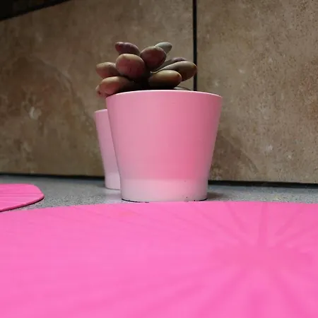 Eco Casa Alma,montana, Campo Y Playa 公寓 Tabayesco