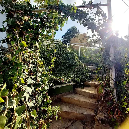 Eco Casa Alma,montana, Campo Y Playa Daire Tabayesco