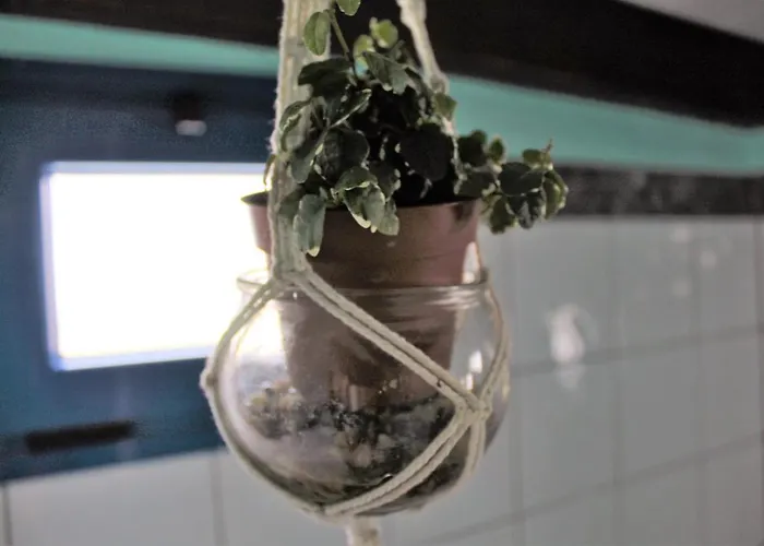 Eco Casa Alma,montana, Campo Y Playa Appartement