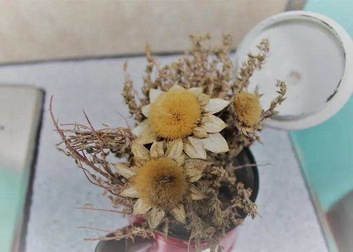 Eco Casa Alma,montana, Campo Y Playa *